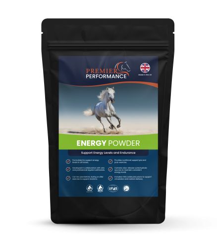 Premier Performance - Energy Powder